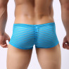 MenSexyWear Boxer sexy Linea Bleu